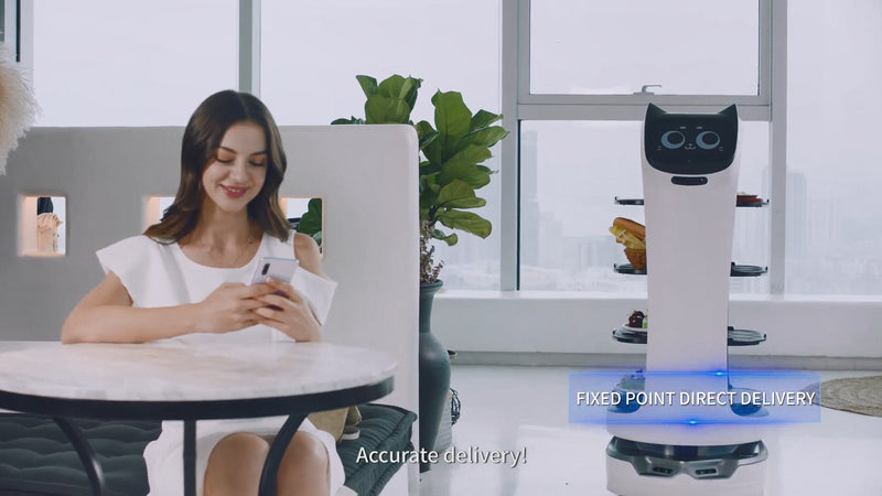 Pudu AI Powered Voice Control Interactive Delivery Robot - BellaBot