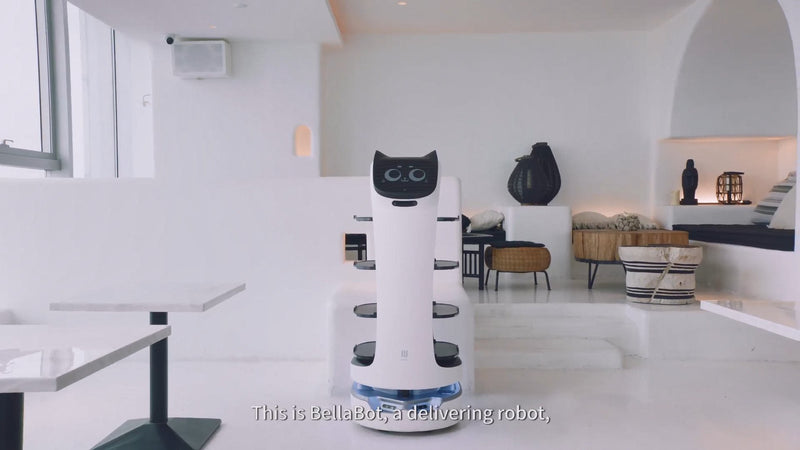 Pudu AI Powered Voice Control Interactive Delivery Robot - BellaBot